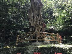 -燕子河大峡谷天坑仙境