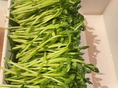-蛙二爷美蛙火锅基地(温州总店)