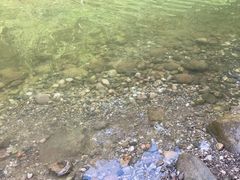 -青城两河漂流