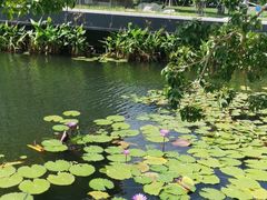 -星巴克(深圳前海企业公馆店)