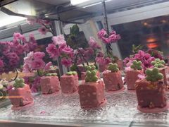 -昆明南亚风情园豪生大酒店-泰式国际海鲜自助餐厅