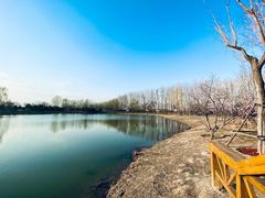 -东郊湿地公园