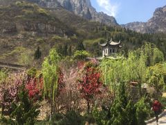-神农山景区