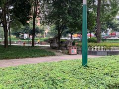 -神仙树公园