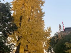 -西安城墙·碑林历史文化景区