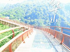 -少华山国家森林公园