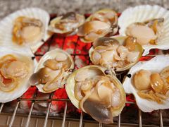 -震海贝烤贝·民俗特色店(延吉总店)