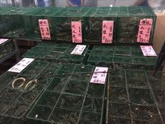 水产区-荔城生鲜盛宴(番禺旗舰店)