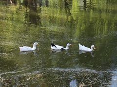 -团结湖公园