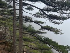 -黄山白云宾馆