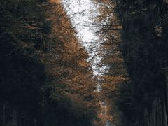 -山王坪喀斯特国家生态公园