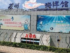 -苏州海洋馆