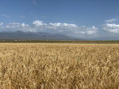 -青海湖国家重点风景名胜区