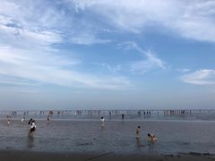 -南汇新城海滩