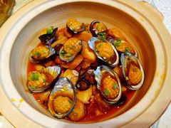 黄焖鲜鲍-锦尚家宴