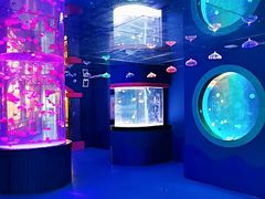 -左海海底世界