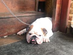 -文昌鸡饭店110号(中山路店)