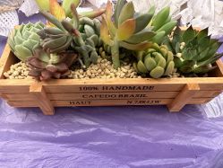 -大美母婴月子中心