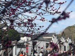 -清漾毛氏文化村