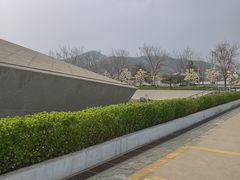 -北京周口店北京人遗址博物馆