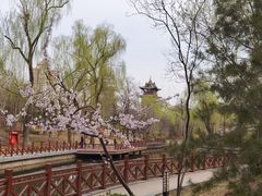 -迎泽公园