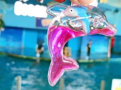 -苏州海洋馆