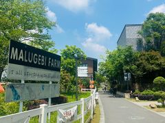 -天目湖涵田度假村