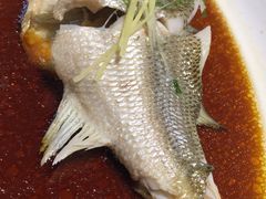 清蒸鲈鱼-京食源烧鸽子