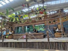 -南宫五洲植物乐园