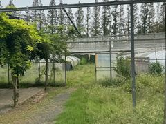 -前小桔亲子创意农场·草莓采摘·露营烧烤