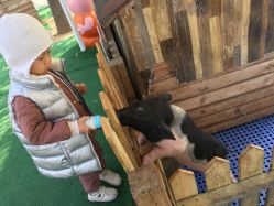 -萌宠亲子动物乐园(槐房万达店)