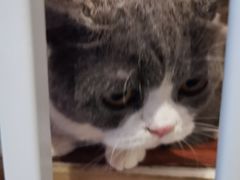-默迹咖啡馆