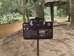 -野象谷景区