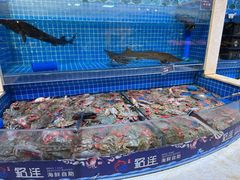 -乔哥铭洋海鲜自助(皇城恒隆广场店)