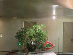 -隐溪茶馆(静安寺店)