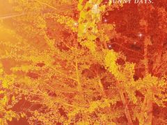 -三里屯东五街银杏大道