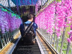 -浏阳石牛寨风景区