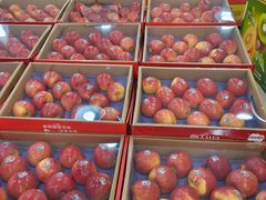 -诚实果品批发行(三星路店)