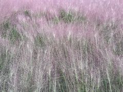 -BHG生活超市(安贞店)