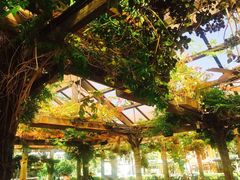 -The Grounds of Alexandria
