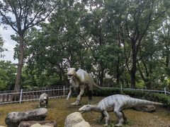 -上海海湾国家森林公园