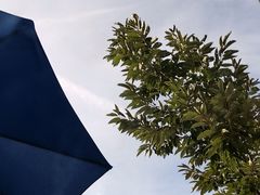 -紫海香堤香草艺术庄园