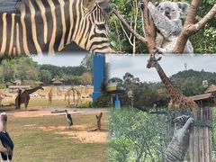 -广州长隆野生动物世界