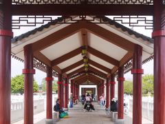 -长洲岛