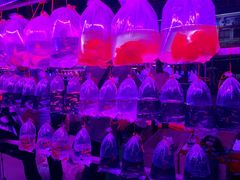 -华声天桥民俗文化园