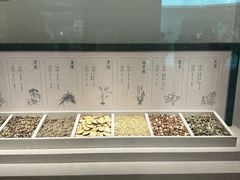 -中国湿地博物馆