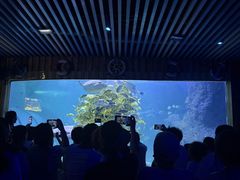 -左海海底世界