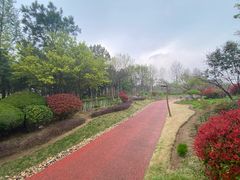 -石家庄市植物园
