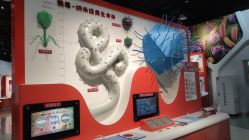 -北京科学中心儿童乐园