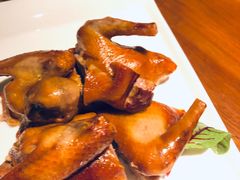 -燕郊烧鸽子(广安路店)